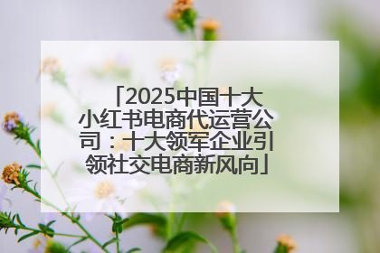 2025中国十大小红书电商代运营公司：十大领军企业引领社交电商新风向