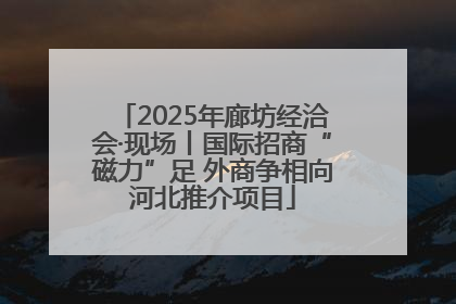 2025年廊坊经洽会·现场丨国际招商“磁力”足 外商争相向河北推介项目