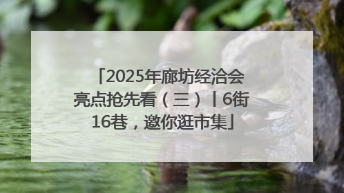 2025年廊坊经洽会亮点抢先看（三）丨6街16巷，邀你逛市集