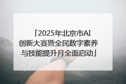 2025年北京市AI创新大赛暨全民数字素养与技能提升月全面启动