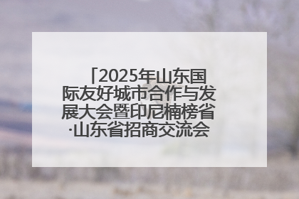 2025年山东国际友好城市合作与发展大会暨印尼楠榜省·山东省招商交流会在济南槐荫举行