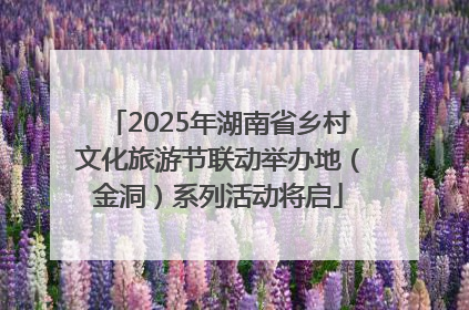 2025年湖南省乡村文化旅游节联动举办地（金洞）系列活动将启