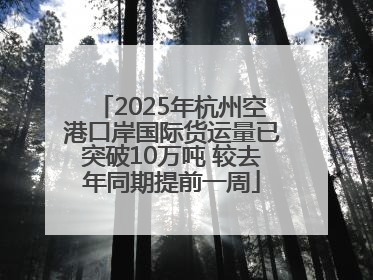 2025年杭州空港口岸国际货运量已突破10万吨 较去年同期提前一周