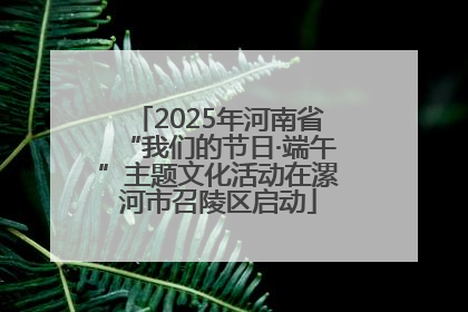 2025年河南省“我们的节日·端午”主题文化活动在漯河市召陵区启动