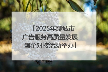 2025年聊城市广告服务高质量发展媒企对接活动举办