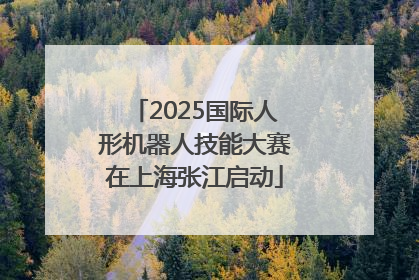 2025国际人形机器人技能大赛在上海张江启动