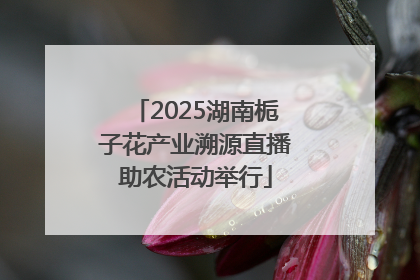 2025湖南栀子花产业溯源直播助农活动举行