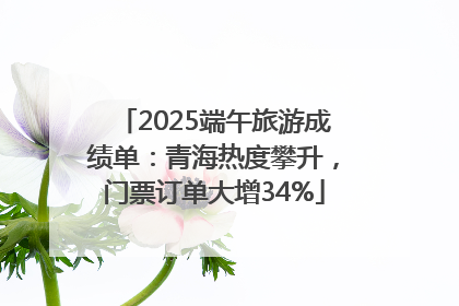 2025端午旅游成绩单：青海热度攀升，门票订单大增34%