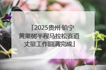 2025贵州·镇宁黄果树半程马拉松赛道丈量工作圆满完成