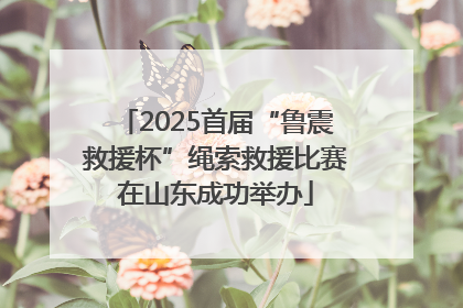 2025首届“鲁震救援杯”绳索救援比赛在山东成功举办