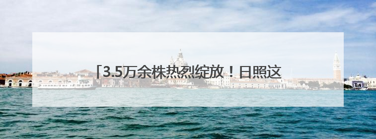 3.5万余株热烈绽放！日照这座高架桥变身“空中花廊”！