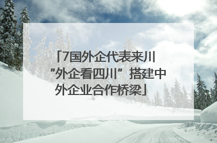 7国外企代表来川 “外企看四川”搭建中外企业合作桥梁