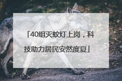 40组灭蚊灯上岗，科技助力居民安然度夏