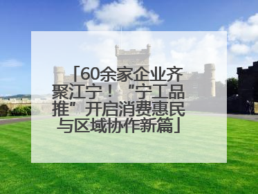 60余家企业齐聚江宁！“宁工品推”开启消费惠民与区域协作新篇