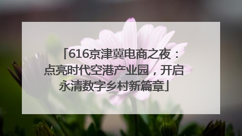 616京津冀电商之夜：点亮时代空港产业园，开启永清数字乡村新篇章