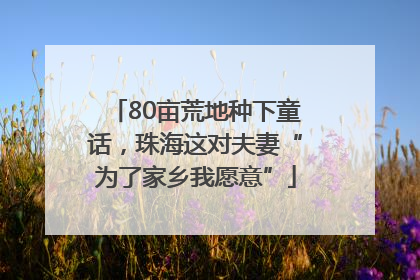 80亩荒地种下童话,珠海这对夫妻“为了家乡我愿意”