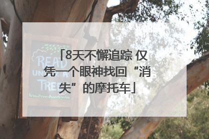 8天不懈追踪 仅凭一个眼神找回“消失”的摩托车