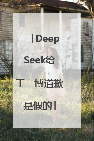DeepSeek给王一博道歉是假的