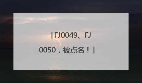 FJ0049、FJ0050，被点名！